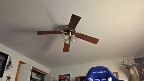 Daniel    y. online show from 10.22.25