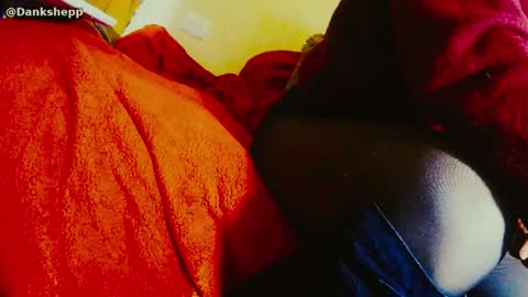 dandeb online show from 01.11.26