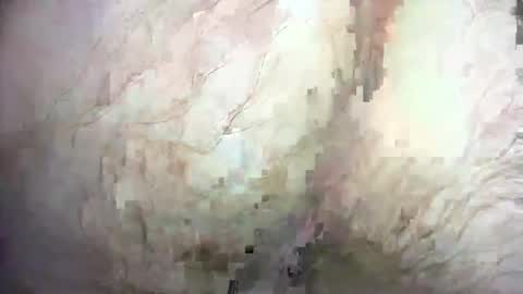 dankz4two0 online show from 12.21.24