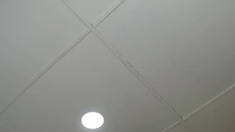 Snapshot of dannaberlin_0 chatting on 03.08.25 dannaberlin_0 online show from 03.08.25