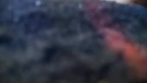 Snapshot of dannowisc chatting on 02.20.26 dannowisc online show from 02.20.26