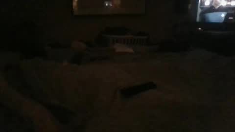 Danielle online show from 12.24.24