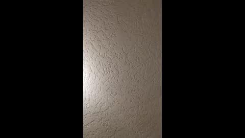 dano9696 online show from 01.19.26