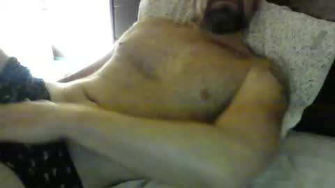 danroof2023 online show from 01.30.25