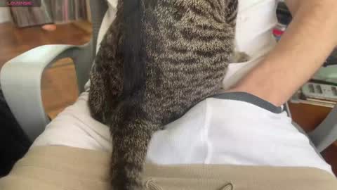 Dante online show from 01.24.25