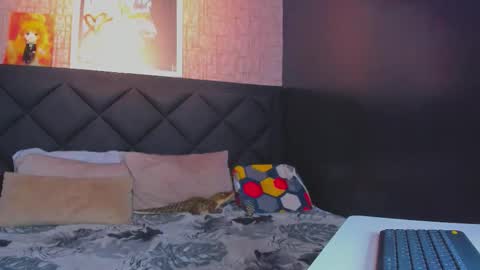 Dany online show from 11.11.25