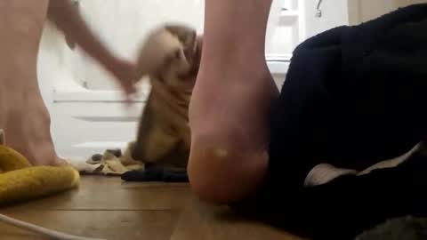 danydevil online show from 11.25.25