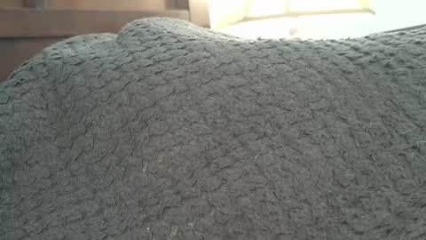 dapppper online show from 09.24.25