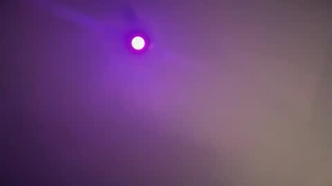 daquim online show from 11.12.25