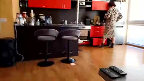 dxd69 online show from 04.08.26