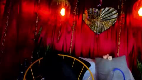 dark hunter  online show from 02.20.26