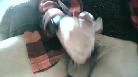 Snapshot of dartrok chatting on 02.17.25 Dartrok online show from 02.17.25