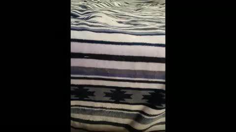 dat_guy8806 online show from 01.05.26