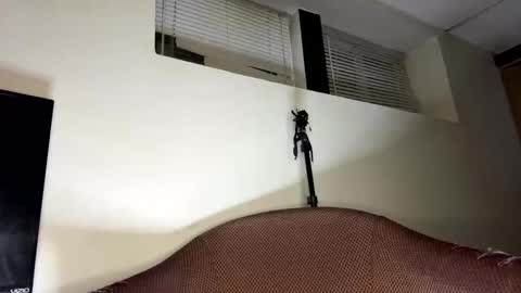 dave875126 online show from 04.21.26