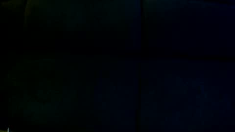 Snapshot of davesbabe14 chatting on 12.26.24 Sophie Dave online show from 12.26.24