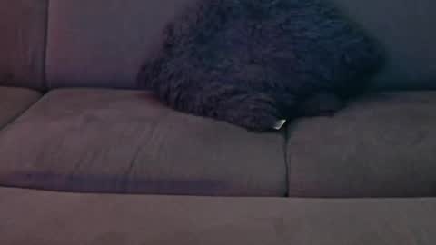 Snapshot of davesbabe14 chatting on 01.08.25 Sophie Dave online show from 01.08.25