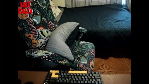 David online show from 02.20.26