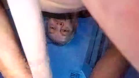 david_stone1969 online show from 03.08.25