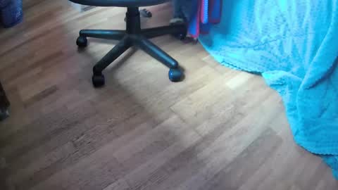 Hugo online show from 02.12.25