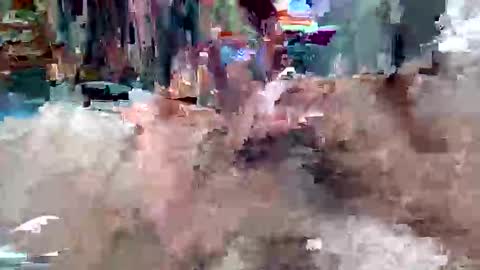 davidmarioslick online show from 05.23.26