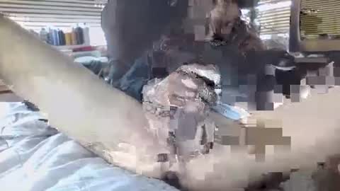 Snapshot of davinsdick chatting on 09.30.25 Your daddy online show from 09.30.25