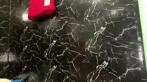 May online show from 04.12.26