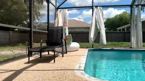 Dazey online show from 03.31.26