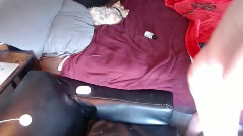 DCTeamFucker online show from 04.17.26