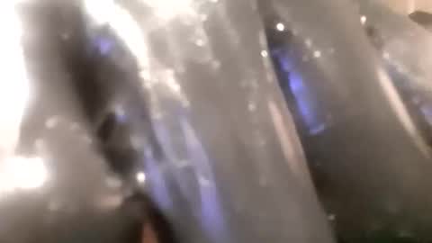 ddick0303 online show from 11.14.25