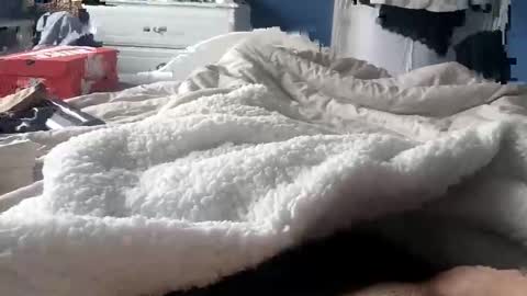 deano2105 online show from 03.15.26