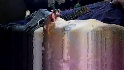 decoyx5o5 online show from 01.01.25