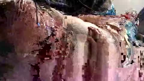 decoyx5o5 online show from 01.09.25