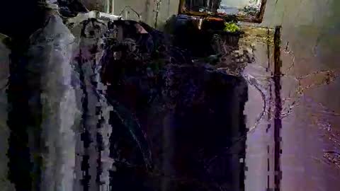 decoyx5o5 online show from 02.06.25