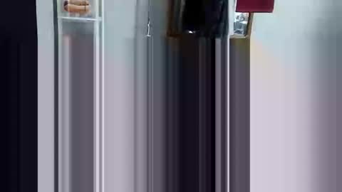 decoyx5o5 online show from 03.03.25