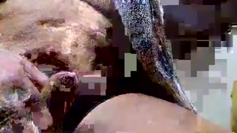 Dive Deep online show from 12.15.25