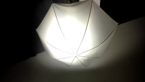 DEIVY online show from 02.14.25