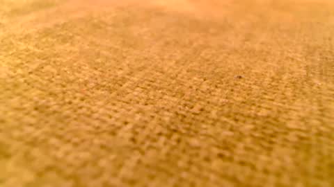 Snapshot of deliciaalove chatting on 12.17.24 deliciaalove online show from 12.17.24