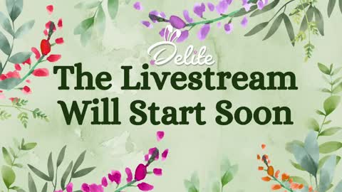 DeLite  Next stream on Wednesday or Thurdsay  online show from 06.02.26