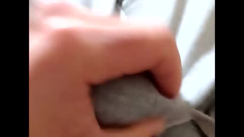 deliv_shopi online show from 01.08.26