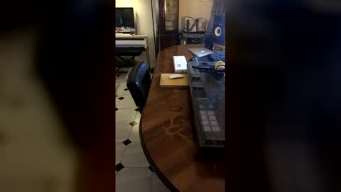 Snapshot of demonomad chatting on 03.19.26 Demonomad online show from 03.19.26