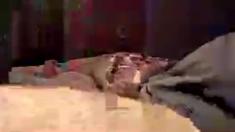 den2807 online show from 07.04.26