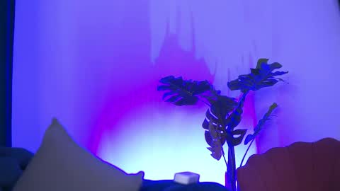 denisedevilles online show from 05.10.26