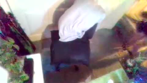 denveversbb online show from 04.03.26