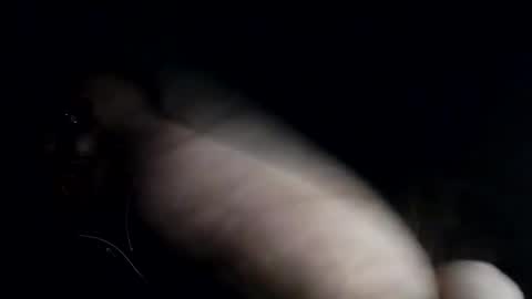 Snapshot of derek69397177 chatting on 12.22.24 derek69397177 online show from 12.22.24