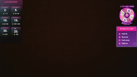 Snapshot of desiprincessaga chatting on 12.29.24 desiprincessaga online show from 12.29.24