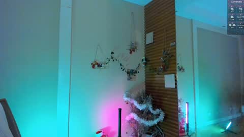 Snapshot of devil_fts chatting on 12.29.24 Devil online show from 12.29.24