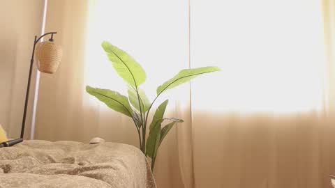 ...Ill be back ... online show from 03.12.26