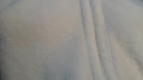 diana online show from 12.11.24