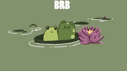 diana online show from 12.13.24