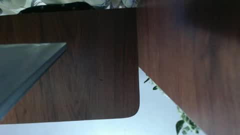 diana online show from 01.01.25